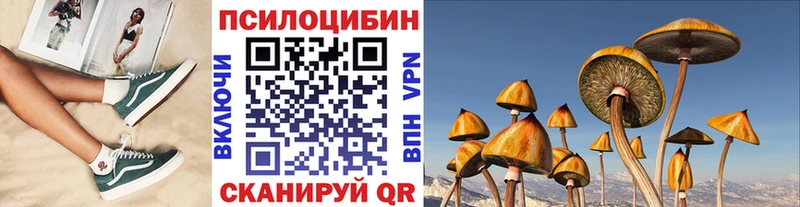 Галлюциногенные грибы мицелий  Купить где  Артём 